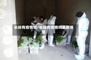 长岭有疫情吗/长岭有疫情吗最新消息