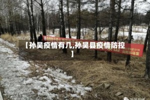 【孙吴疫情有几,孙吴县疫情防控】