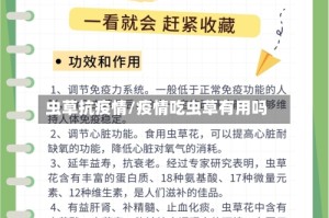 虫草抗疫情/疫情吃虫草有用吗