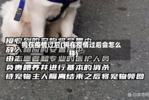 狗在疫情过后(狗在疫情过后会怎么样)