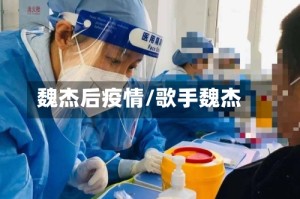 魏杰后疫情/歌手魏杰