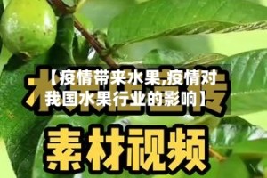 【疫情带来水果,疫情对我国水果行业的影响】