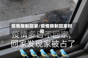 疫情限制回家/疫情限制回家时间