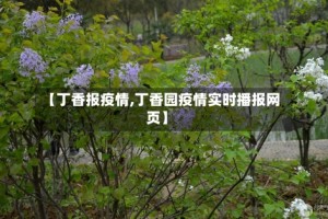 【丁香报疫情,丁香园疫情实时播报网页】