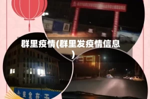 群里疫情(群里发疫情信息)