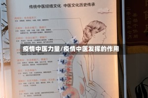 疫情中医力量/疫情中医发挥的作用