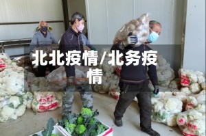 北北疫情/北务疫情