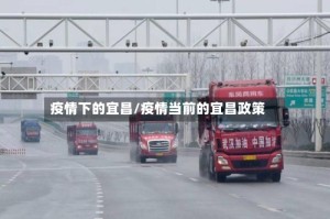 疫情下的宜昌/疫情当前的宜昌政策