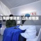 山东疫情调查/山东疫情跟踪