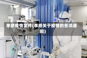 孝感疫情文件(孝感关于疫情的各项通知)