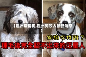 【温州疫情狗,温州狗咬人最新消息】