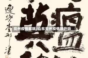 兖州疫情解除/山东兖州疫情放开吗