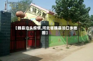 【魏县泊头疫情,河北省魏县泊口乡地图】