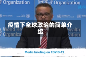 疫情下全球政治的简单介绍