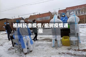 榆树抗击疫情/榆树疫情通报