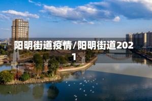 阳明街道疫情/阳明街道2021