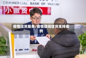 疫情信贷服务/疫情期间信贷支持案例
