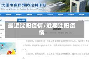 最近沈阳疫情/近期沈阳疫情