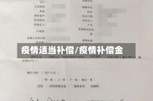 疫情适当补偿/疫情补偿金