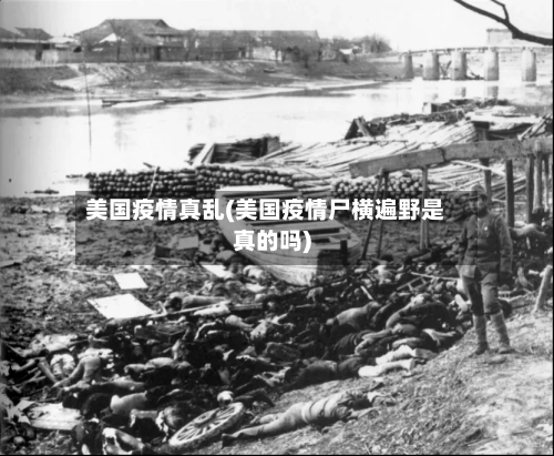 美国疫情真乱(美国疫情尸横遍野是真的吗)-第2张图片