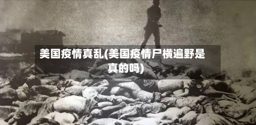 美国疫情真乱(美国疫情尸横遍野是真的吗)-第1张图片