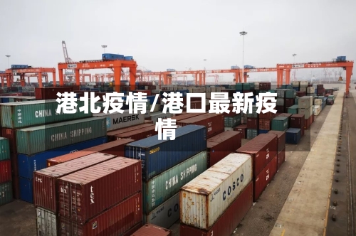 港北疫情/港口最新疫情-第1张图片