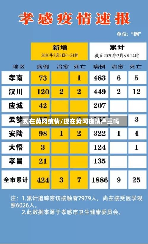 现在黄冈疫情/现在黄冈疫情严重吗-第1张图片