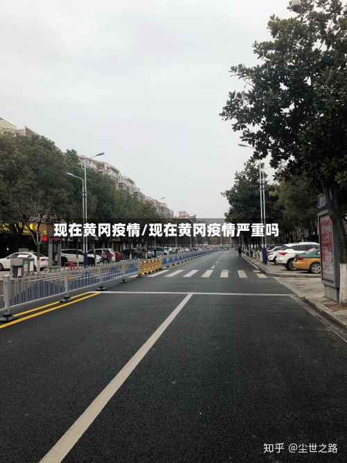 现在黄冈疫情/现在黄冈疫情严重吗-第3张图片