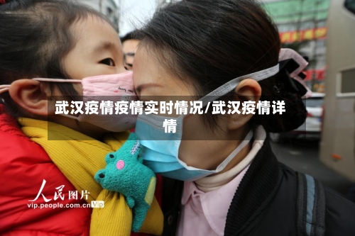 武汉疫情疫情实时情况/武汉疫情详情-第2张图片