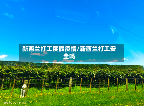 新西兰打工度假疫情/新西兰打工安全吗-第3张图片