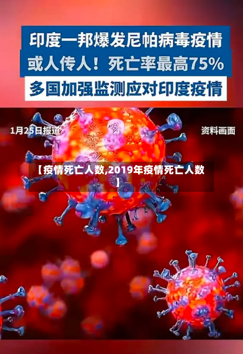【疫情死亡人数,2019年疫情死亡人数】-第1张图片