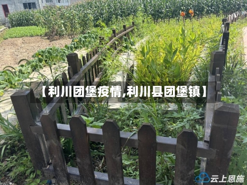 【利川团堡疫情,利川县团堡镇】-第3张图片