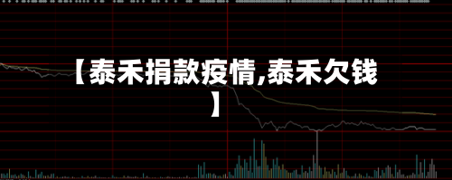 【泰禾捐款疫情,泰禾欠钱】-第1张图片