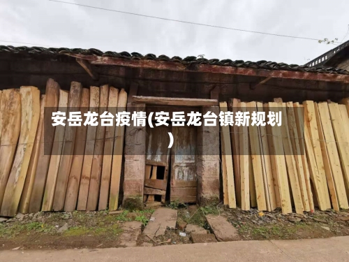 安岳龙台疫情(安岳龙台镇新规划)-第1张图片
