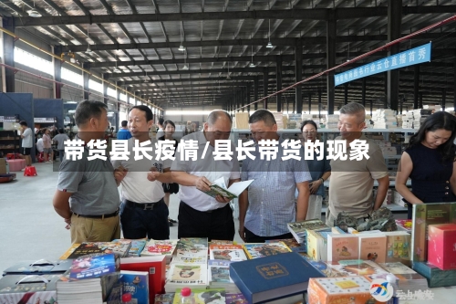 带货县长疫情/县长带货的现象-第2张图片