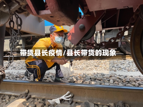 带货县长疫情/县长带货的现象-第3张图片