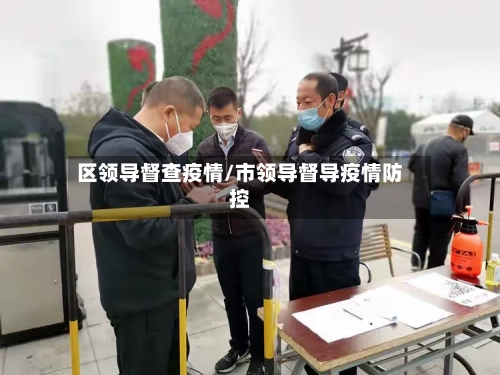 区领导督查疫情/市领导督导疫情防控-第1张图片