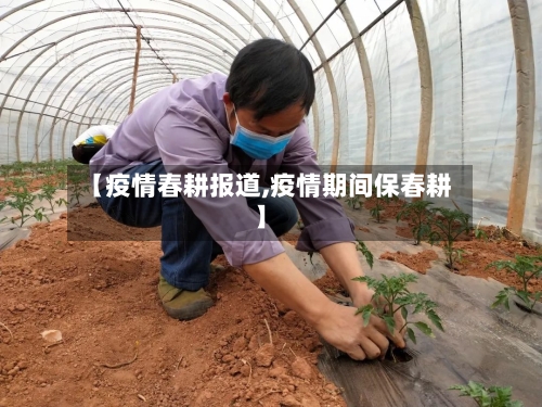 【疫情春耕报道,疫情期间保春耕】-第3张图片