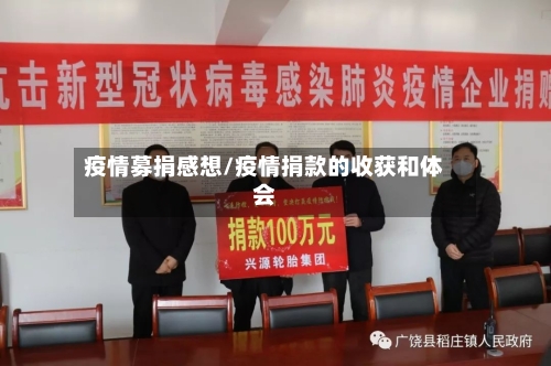 疫情募捐感想/疫情捐款的收获和体会-第1张图片