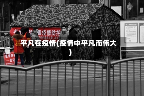 平凡在疫情(疫情中平凡而伟大)-第2张图片