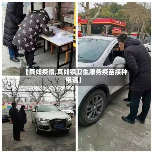 【真如疫情,真如镇卫生服务疫苗接种电话】-第1张图片