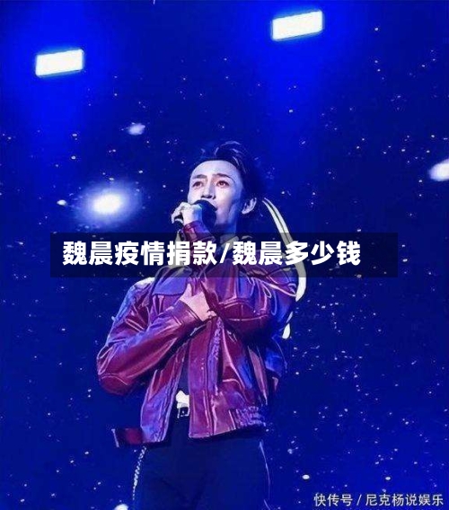 魏晨疫情捐款/魏晨多少钱-第2张图片