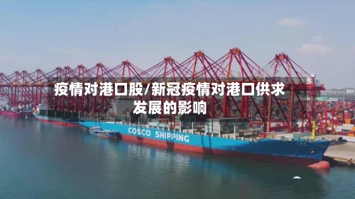 疫情对港口股/新冠疫情对港口供求发展的影响-第1张图片