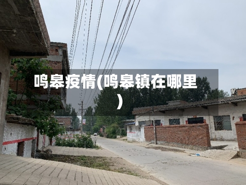 鸣皋疫情(鸣皋镇在哪里)-第1张图片