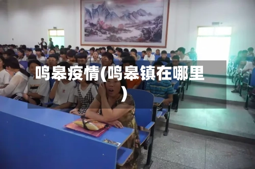 鸣皋疫情(鸣皋镇在哪里)-第3张图片