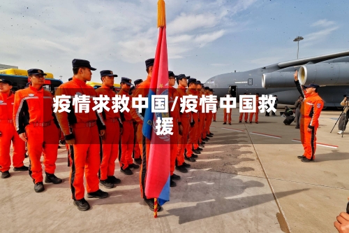 疫情求救中国/疫情中国救援-第3张图片