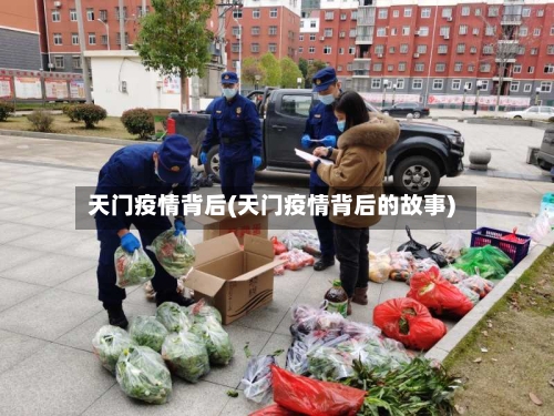 天门疫情背后(天门疫情背后的故事)-第2张图片