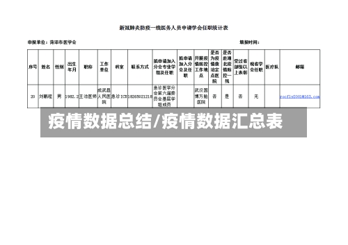 疫情数据总结/疫情数据汇总表-第1张图片
