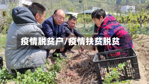 疫情脱贫户/疫情扶贫脱贫-第1张图片