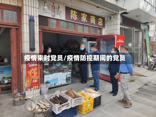 疫情来时党员/疫情防控期间的党员-第3张图片